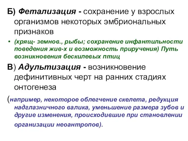 Б) Фетализация - сохранение у взрослых организмов некоторых эмбриональных признаков (хрящ-