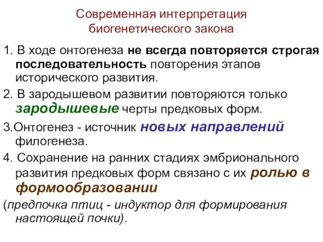 Современная интерпретация биогенетического закона 1. В ходе онтогенеза не всегда повторяется