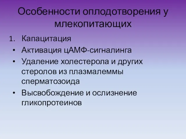 Особенности оплодотворения у млекопитающих Капацитация Активация цАМФ-сигналинга Удаление холестерола и других