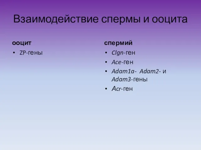 Взаимодействие спермы и ооцита ооцит ZP-гены спермий Clgn-ген Ace-ген Adam1a- Adam2- и Adam3-гены Аcr-ген