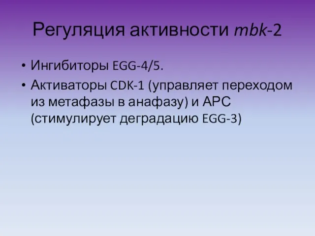 Регуляция активности mbk-2 Ингибиторы EGG-4/5. Активаторы CDK-1 (управляет переходом из метафазы