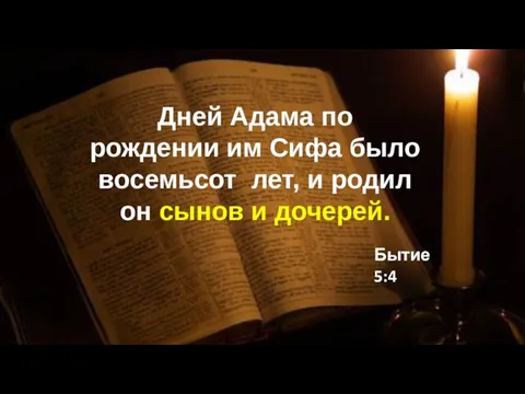 Дней Адама по рождении им Сифа было восемьсот лет, и родил