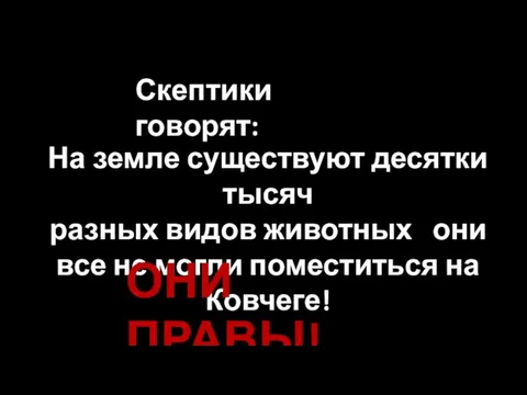 Скептики говорят: На земле существуют десятки тысяч разных видов животных они