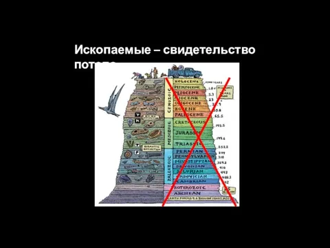 Ископаемые – свидетельство потопа