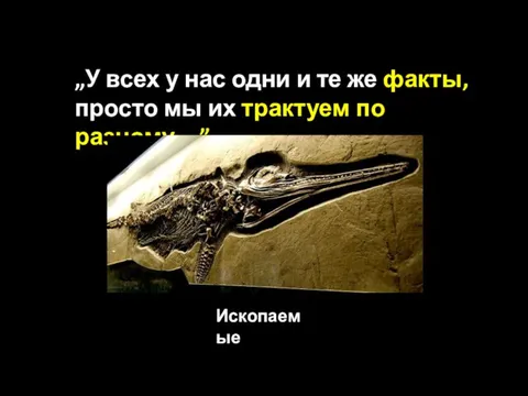 „У всех у нас одни и те же факты, просто мы их трактуем по разному…” Ископаемые