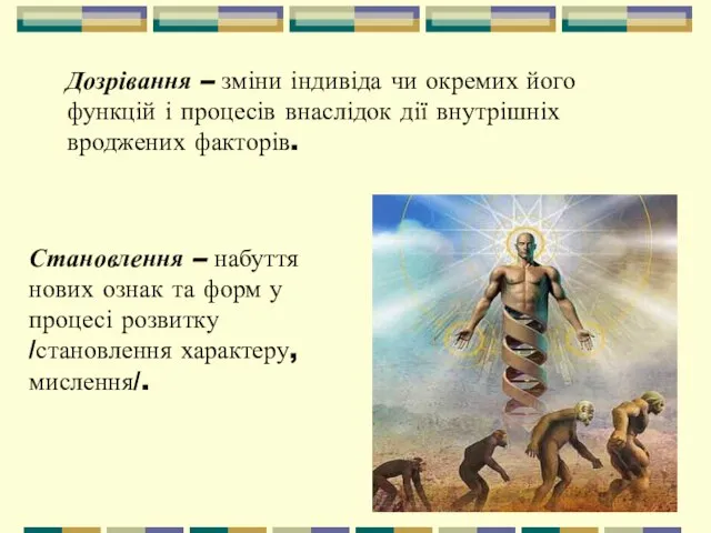 Дозрівання – зміни індивіда чи окремих його функцій і процесів внаслідок