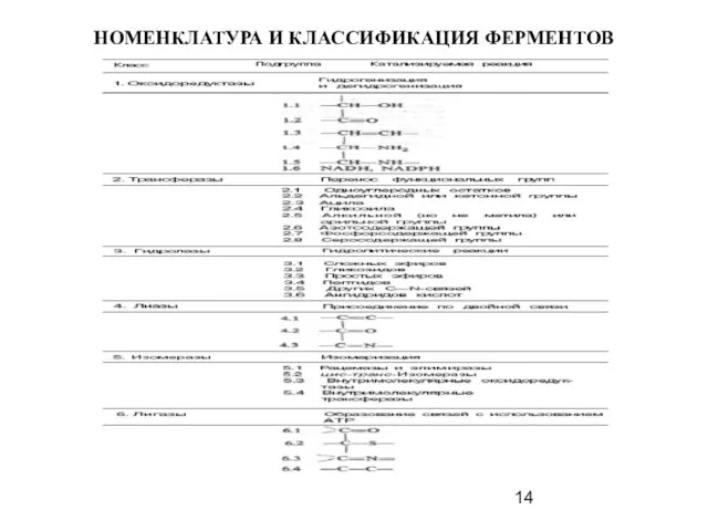 НОМЕНКЛАТУРА И КЛАССИФИКАЦИЯ ФЕРМЕНТОВ