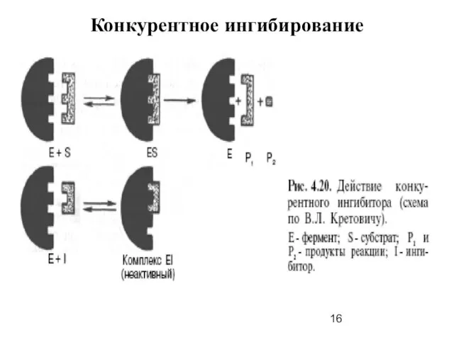 Конкурентное ингибирование