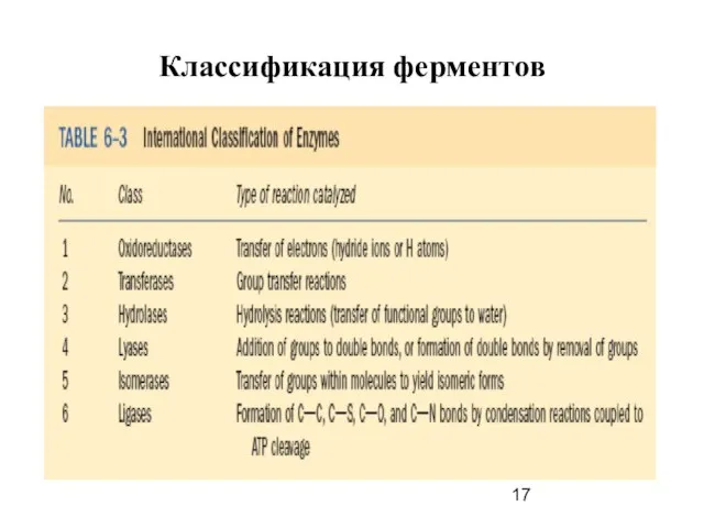 Классификация ферментов