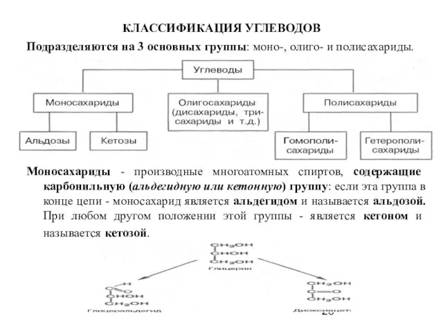 КЛАССИФИКАЦИЯ УГЛЕВОДОВ Подразделяются на 3 основных группы: моно-, олиго- и полисахариды.