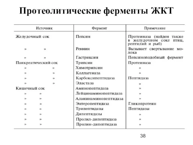 Протеолитические ферменты ЖКТ