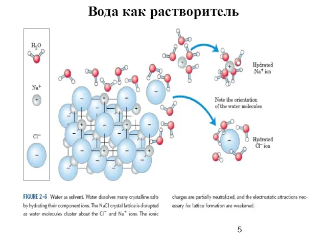 Вода как растворитель