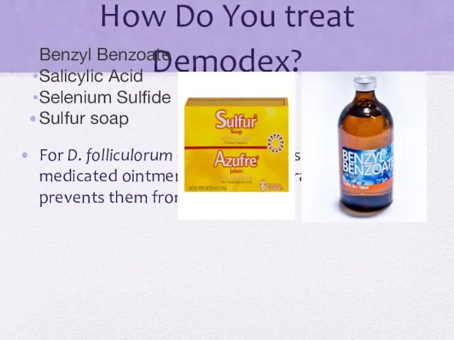 How Do You treat Demodex? Benzyl Benzoate Salicylic Acid Selenium Sulfide