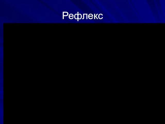 Рефлекс