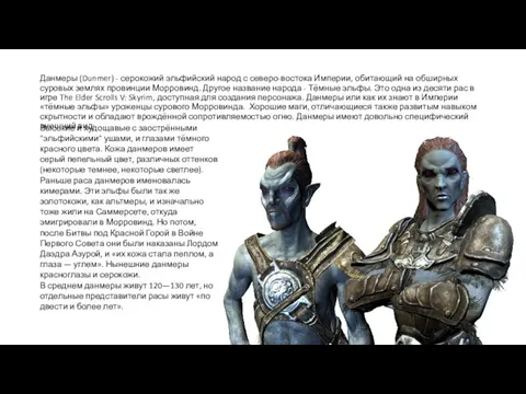 Данмеры (Dunmer) - серокожий эльфийский народ с северо-востока Империи, обитающий на