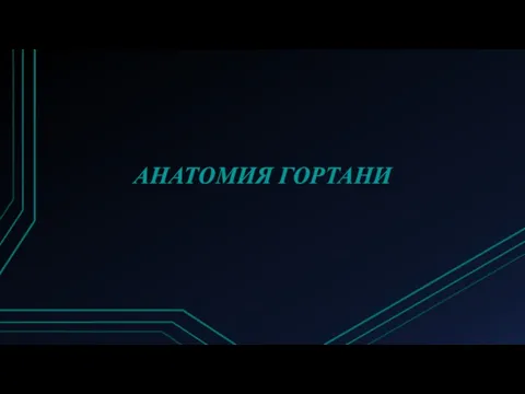 АНАТОМИЯ ГОРТАНИ