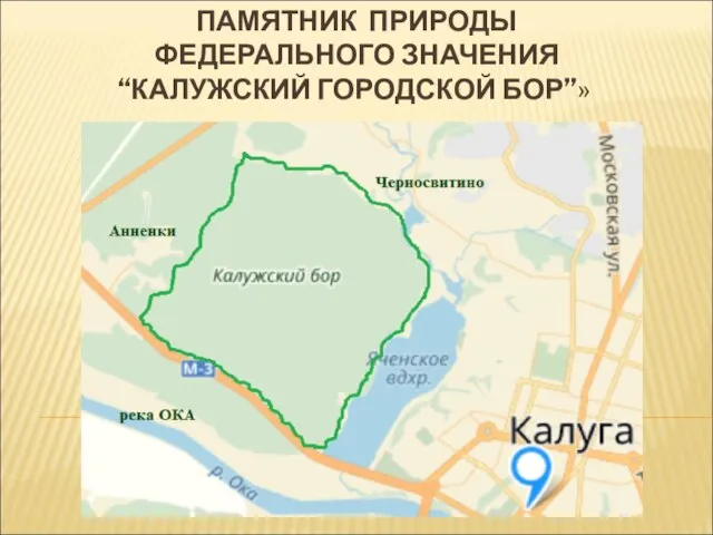 ПАМЯТНИК ПРИРОДЫ ФЕДЕРАЛЬНОГО ЗНАЧЕНИЯ “КАЛУЖСКИЙ ГОРОДСКОЙ БОР”»