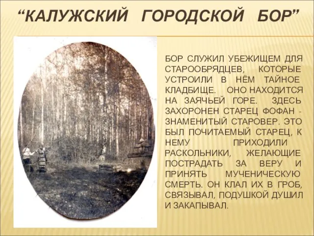 БОР СЛУЖИЛ УБЕЖИЩЕМ ДЛЯ СТАРООБРЯДЦЕВ, КОТОРЫЕ УСТРОИЛИ В НЁМ ТАЙНОЕ КЛАДБИЩЕ.