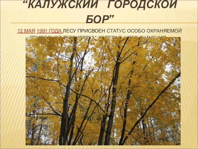 “КАЛУЖСКИЙ ГОРОДСКОЙ БОР” 12 МАЯ 1991 ГОДА ЛЕСУ ПРИСВОЕН СТАТУС ОСОБО