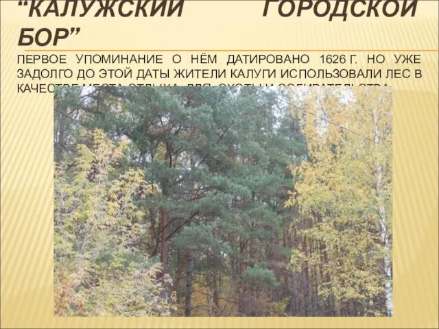 “КАЛУЖСКИЙ ГОРОДСКОЙ БОР” ПЕРВОЕ УПОМИНАНИЕ О НЁМ ДАТИРОВАНО 1626 Г. НО