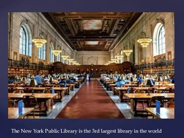 The New York Public Library is the 3rd largest library in the world