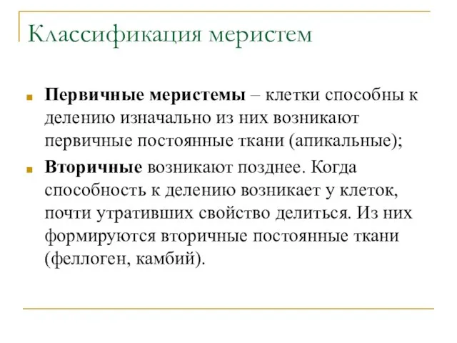 Классификация меристем Первичные меристемы – клетки способны к делению изначально из