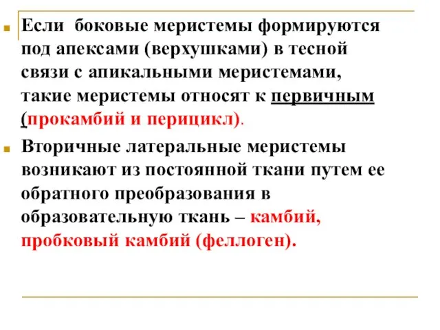 Если боковые меристемы формируются под апексами (верхушками) в тесной связи с