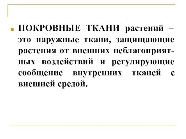 ПОКРОВНЫЕ ТКАНИ растений – это наружные ткани, защищающие растения от внешних