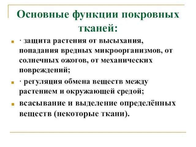 Основные функции покровных тканей: · защита растения от высыхания, попадания вредных