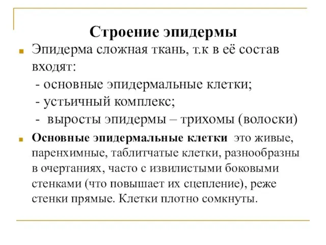 Строение эпидермы Эпидерма сложная ткань, т.к в её состав входят: -