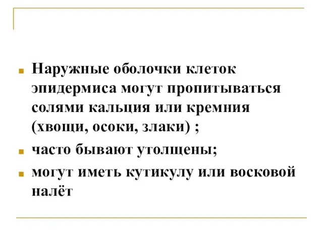 Наружные оболочки клеток эпидермиса могут пропитываться солями кальция или кремния (хвощи,