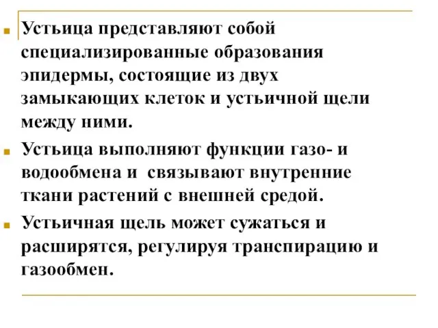 Устьица представляют собой специализированные образования эпидермы, состоящие из двух замыкающих клеток