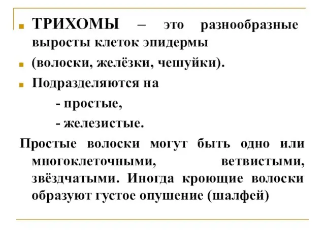 ТРИХОМЫ – это разнообразные выросты клеток эпидермы (волоски, желёзки, чешуйки). Подразделяются