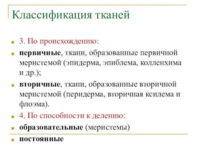 Классификация тканей 3. По происхождению: первичные, ткани, образованные первичной меристемой (эпидерма,