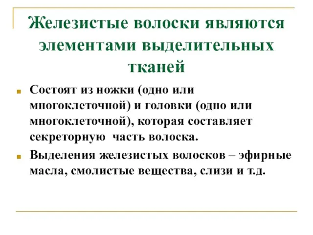 Железистые волоски являются элементами выделительных тканей Состоят из ножки (одно или