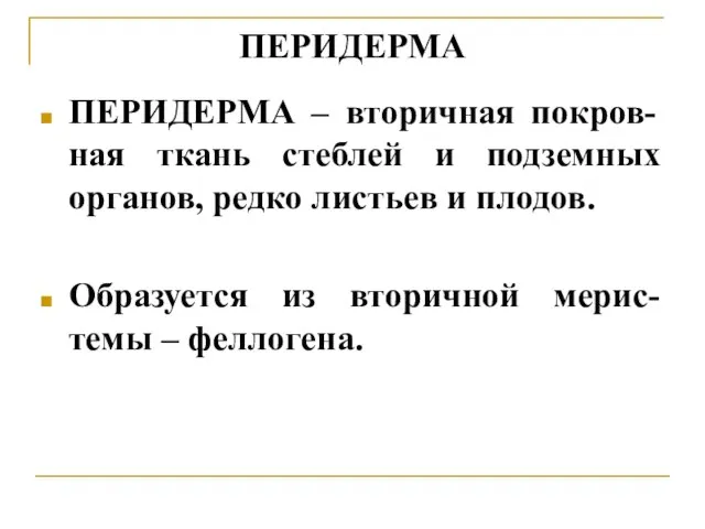 ПЕРИДЕРМА ПЕРИДЕРМА – вторичная покров- ная ткань стеблей и подземных органов,