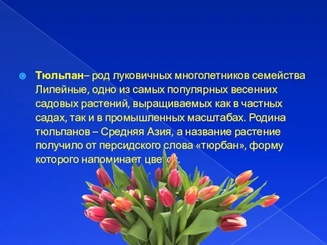 Тюльпан– род луковичных многолетников семейства Лилейные, одно из самых популярных весенних