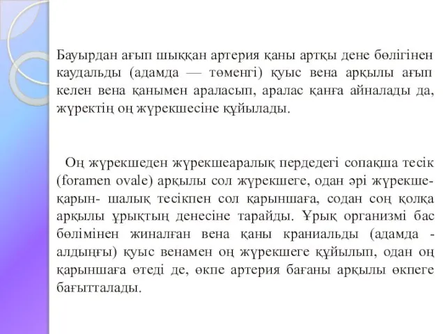 Бауырдан ағып шыққан артерия қаны артқы дене бөлігінен каудальды (адамда —