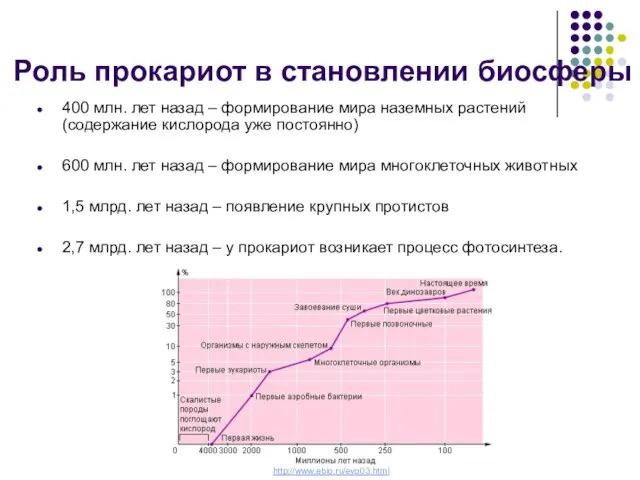 400 млн. лет назад – формирование мира наземных растений (содержание кислорода