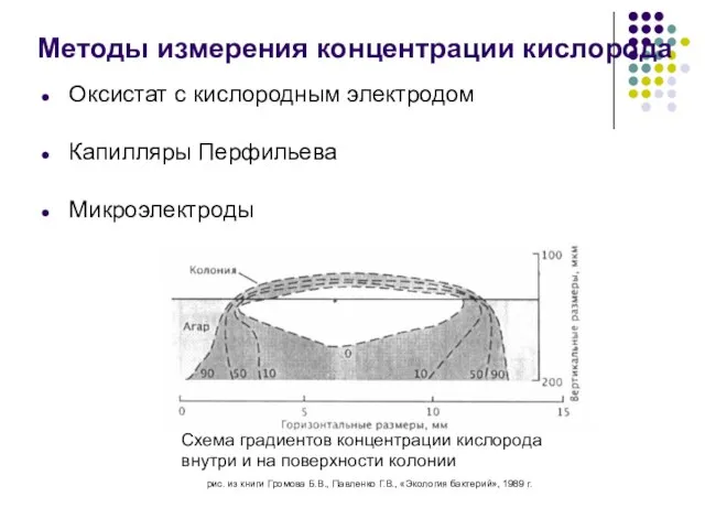 Оксистат с кислородным электродом Капилляры Перфильева Микроэлектроды Схема градиентов концентрации кислорода