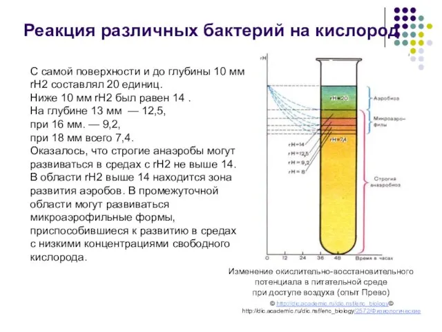 Изменение окислительно-восстановительного потенциала в питательной среде при доступе воздуха (опыт Прево)