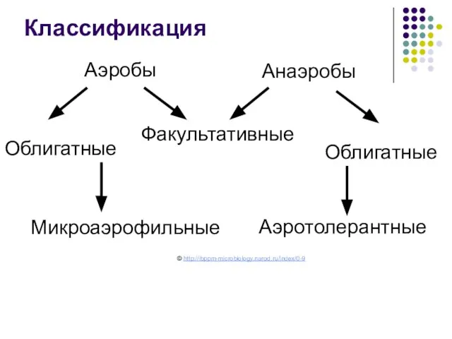 Аэробы Анаэробы Факультативные Облигатные Облигатные Микроаэрофильные Аэротолерантные Классификация © http://ibppm-microbiology.narod.ru/index/0-9