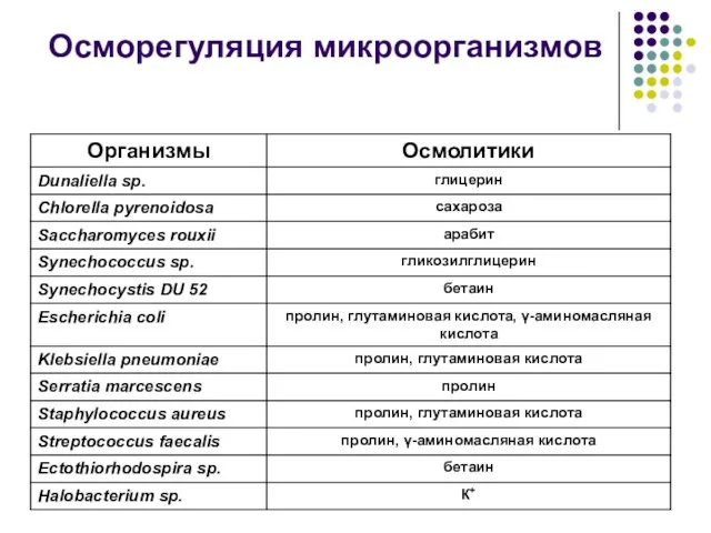 Осморегуляция микроорганизмов