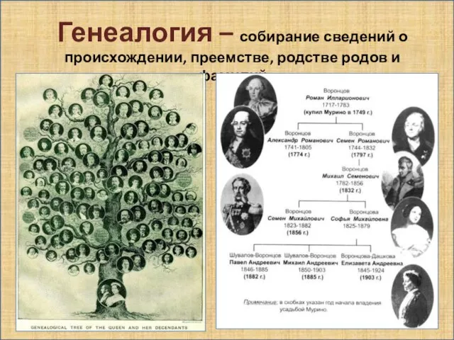 Генеалогия – собирание сведений о происхождении, преемстве, родстве родов и фамилий