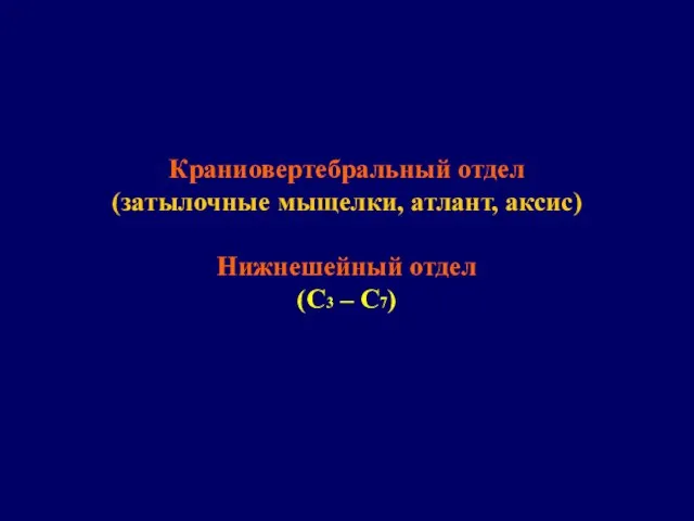 Краниовертебральный отдел (затылочные мыщелки, атлант, аксис) Нижнешейный отдел (С3 – С7)