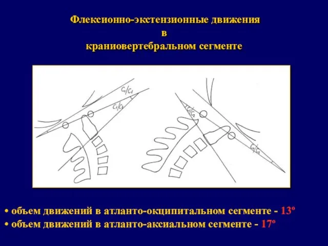 Флексионно-экстензионные движения в краниовертебральном сегменте объем движений в атланто-окципитальном сегменте -