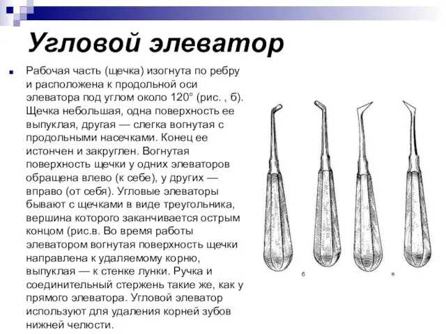 Угловой элеватор Рабочая часть (щечка) изогнута по ребру и расположена к