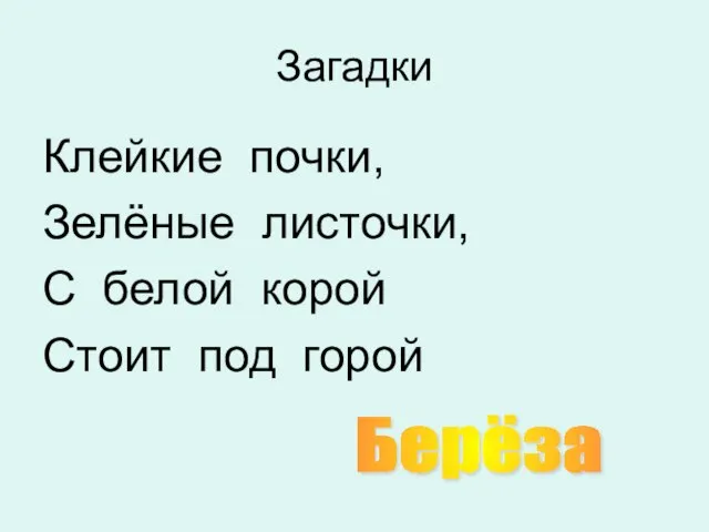 Загадки Клейкие почки, Зелёные листочки, С белой корой Стоит под горой Берёза