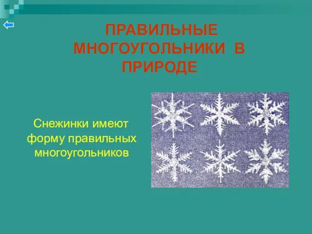 ПРАВИЛЬНЫЕ МНОГОУГОЛЬНИКИ В ПРИРОДЕ Снежинки имеют форму правильных многоугольников