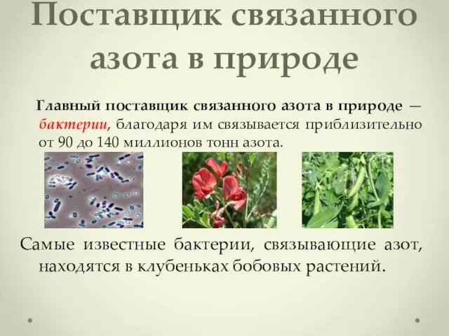 Поставщик связанного азота в природе Главный поставщик связанного азота в природе